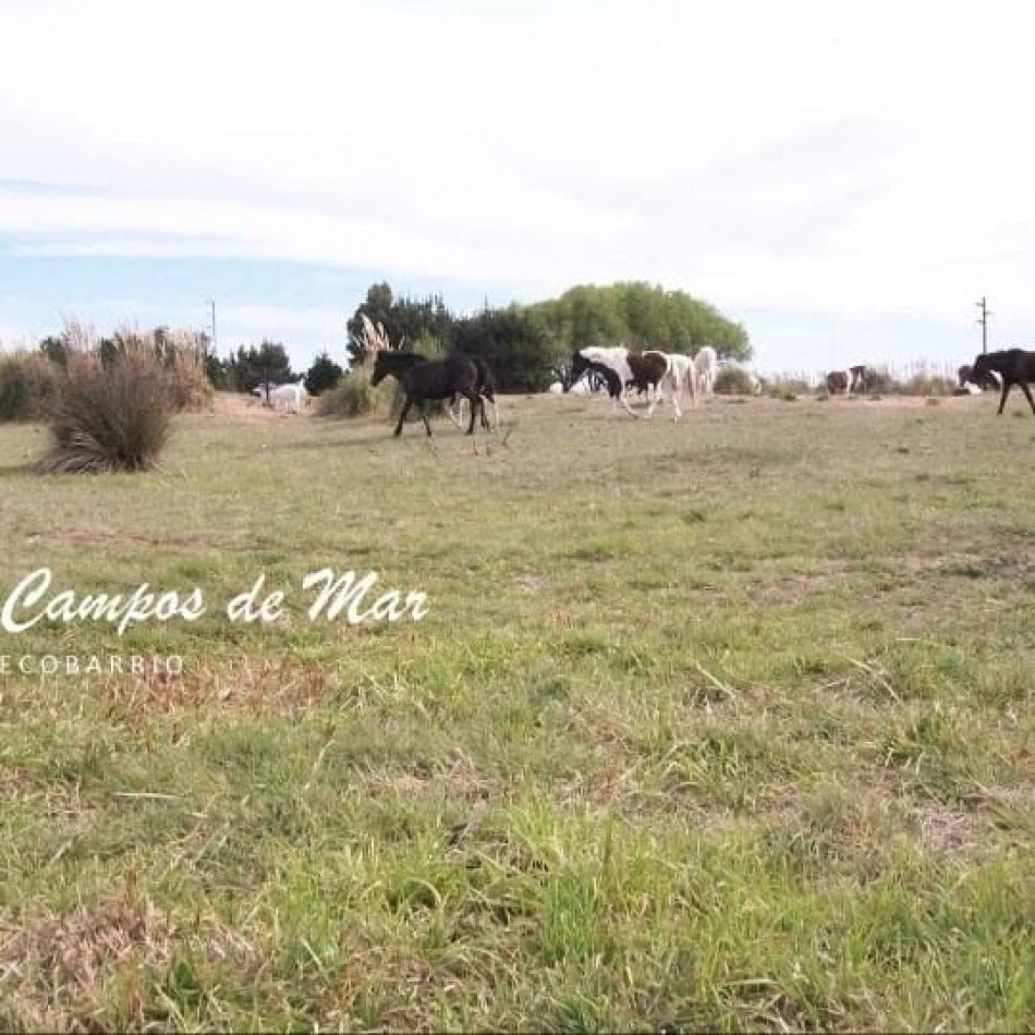 DUPLEX EN BARRIO SEMI CERRADO